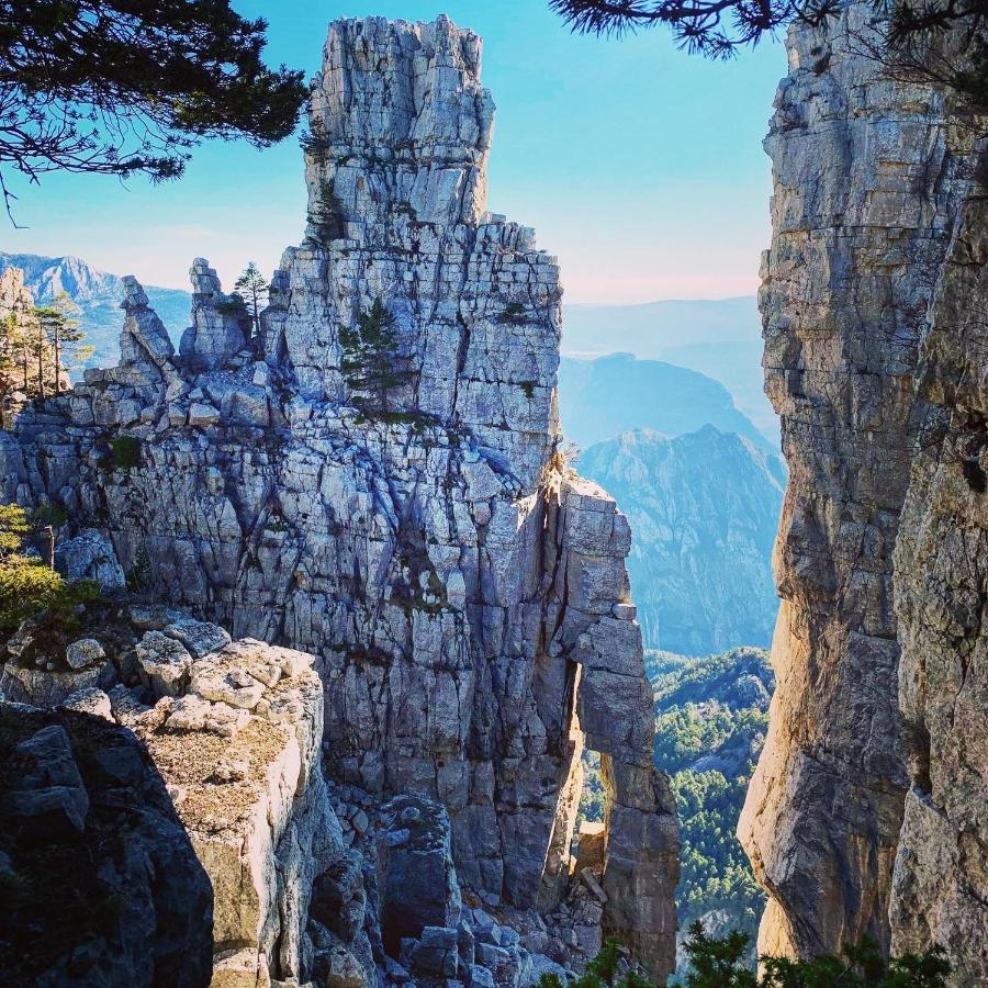 Gite D'Etape Bastide Petra Castellana Verdon カステラーヌ エクステリア 写真